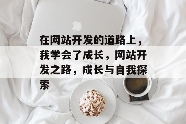 在网站开发的道路上，我学会了成长，网站开发之路，成长与自我探索