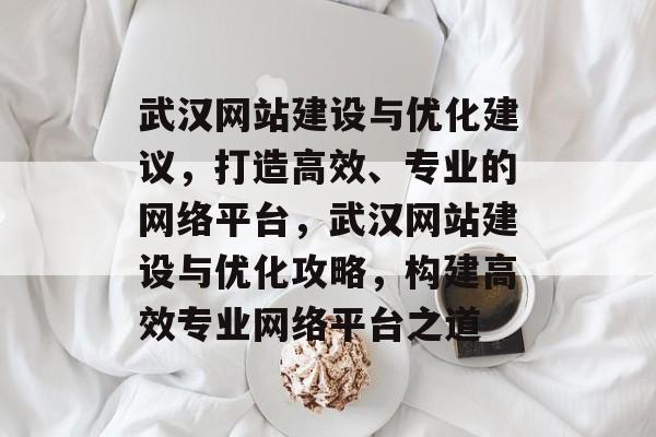 武汉网站建设与优化建议，打造高效、专业的网络平台，武汉网站建设与优化攻略，构建高效专业网络平台之道