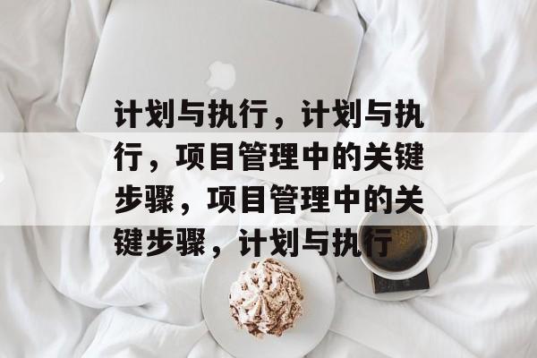 计划与执行，计划与执行，项目管理中的关键步骤，项目管理中的关键步骤，计划与执行