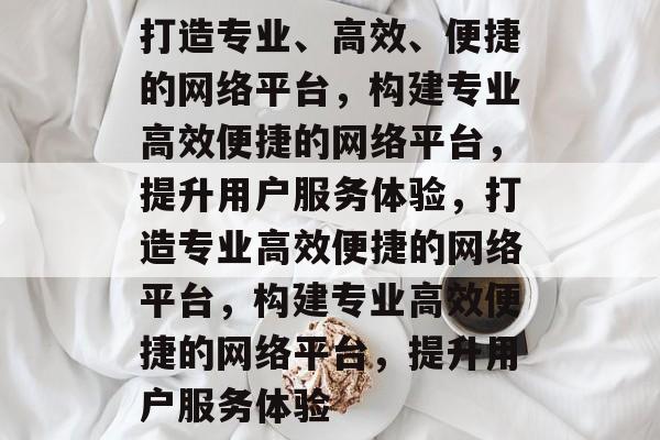 打造专业、高效、便捷的网络平台，构建专业高效便捷的网络平台，提升用户服务体验，打造专业高效便捷的网络平台，构建专业高效便捷的网络平台，提升用户服务体验