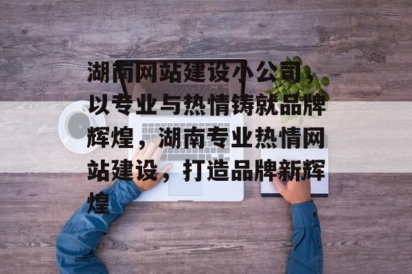 湖南网站建设小公司，以专业与热情铸就品牌辉煌，湖南专业热情网站建设，打造品牌新辉煌
