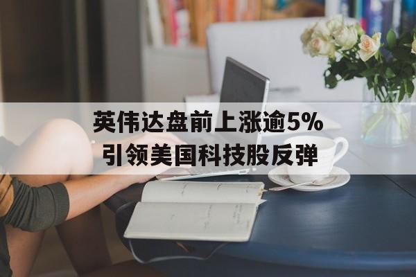 英伟达盘前上涨逾5% 引领美国科技股反弹