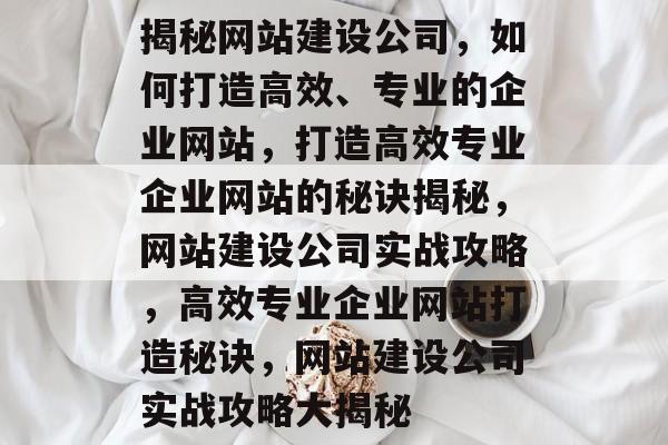 揭秘网站建设公司，如何打造高效、专业的企业网站，打造高效专业企业网站的秘诀揭秘，网站建设公司实战攻略，高效专业企业网站打造秘诀，网站建设公司实战攻略大揭秘