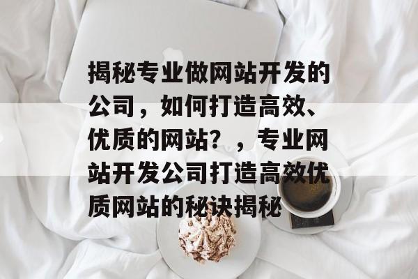 揭秘专业做网站开发的公司，如何打造高效、优质的网站？，专业网站开发公司打造高效优质网站的秘诀揭秘