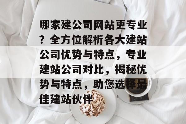 哪家建公司网站更专业？全方位解析各大建站公司优势与特点，专业建站公司对比，揭秘优势与特点，助您选择最佳建站伙伴