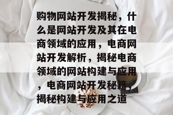 购物网站开发揭秘，什么是网站开发及其在电商领域的应用，电商网站开发解析，揭秘电商领域的网站构建与应用，电商网站开发秘籍，揭秘构建与应用之道