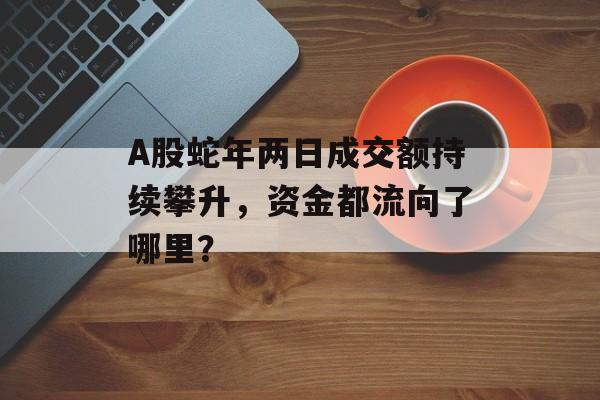 A股蛇年两日成交额持续攀升，资金都流向了哪里？