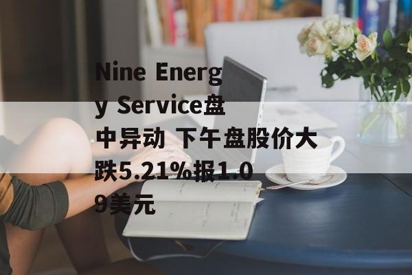 Nine Energy Service盘中异动 下午盘股价大跌5.21%报1.09美元
