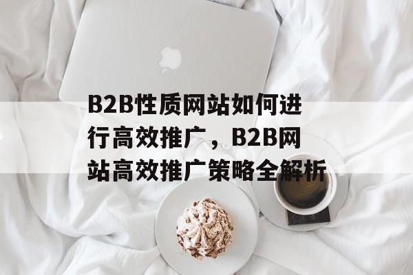 B2B性质网站如何进行高效推广，B2B网站高效推广策略全解析