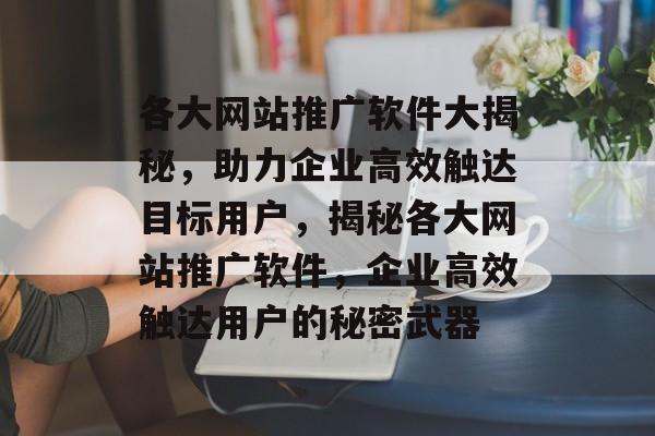 各大网站推广软件大揭秘，助力企业高效触达目标用户，揭秘各大网站推广软件，企业高效触达用户的秘密武器