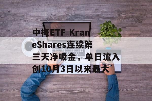 中概ETF KraneShares连续第三天净吸金，单日流入创10月3日以来最大