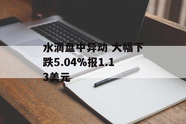 水滴盘中异动 大幅下跌5.04%报1.13美元