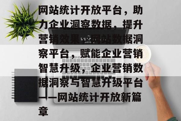 网站统计开放平台，助力企业洞察数据，提升营销效果，网站数据洞察平台，赋能企业营销智慧升级，企业营销数据洞察与智慧升级平台——网站统计开放新篇章