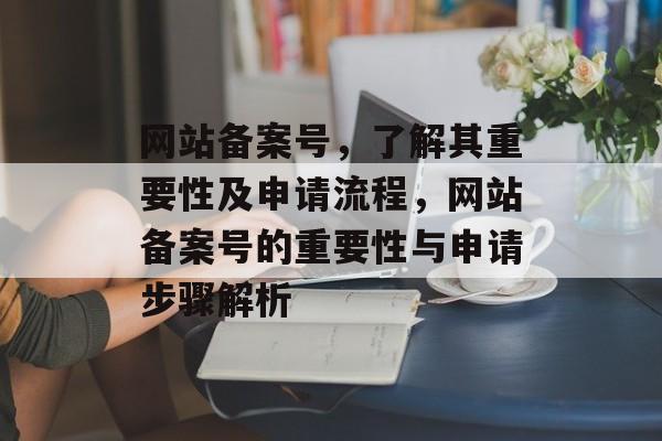 网站备案号，了解其重要性及申请流程，网站备案号的重要性与申请步骤解析