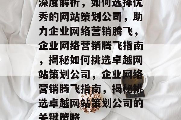 深度解析，如何选择优秀的网站策划公司，助力企业网络营销腾飞，企业网络营销腾飞指南，揭秘如何挑选卓越网站策划公司，企业网络营销腾飞指南，揭秘挑选卓越网站策划公司的关键策略