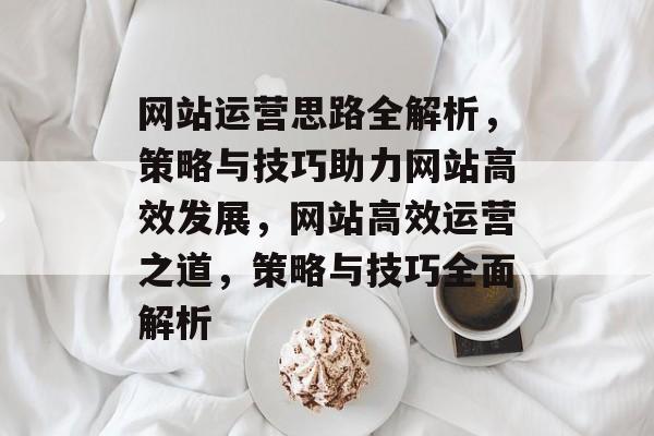 网站运营思路全解析，策略与技巧助力网站高效发展，网站高效运营之道，策略与技巧全面解析