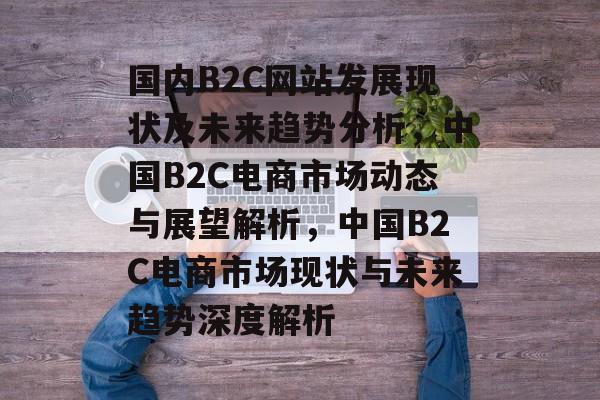 国内B2C网站发展现状及未来趋势分析，中国B2C电商市场动态与展望解析，中国B2C电商市场现状与未来趋势深度解析