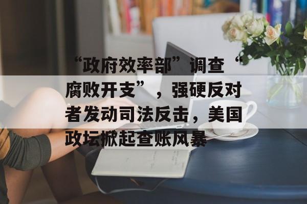 “政府效率部”调查“腐败开支”，强硬反对者发动司法反击，美国政坛掀起查账风暴
