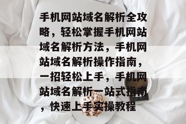 手机网站域名解析全攻略，轻松掌握手机网站域名解析方法，手机网站域名解析操作指南，一招轻松上手，手机网站域名解析一站式指南，快速上手实操教程