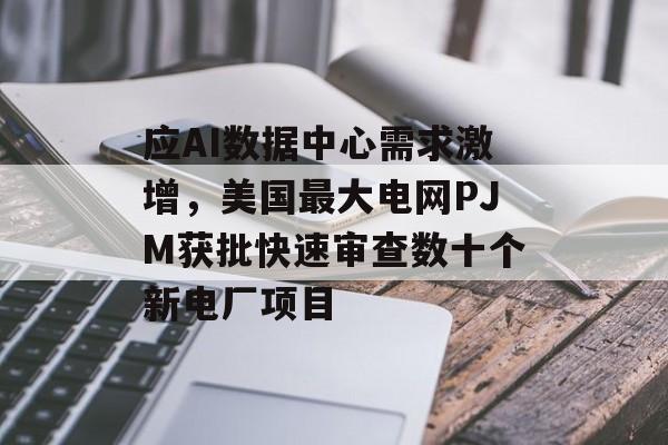 应AI数据中心需求激增，美国最大电网PJM获批快速审查数十个新电厂项目