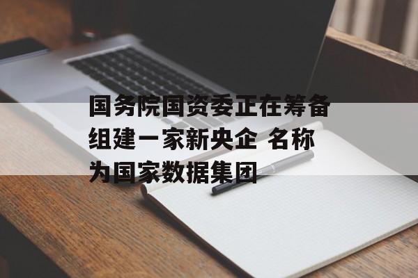 国务院国资委正在筹备组建一家新央企 名称为国家数据集团