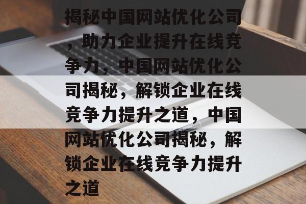 揭秘中国网站优化公司，助力企业提升在线竞争力，中国网站优化公司揭秘，解锁企业在线竞争力提升之道，中国网站优化公司揭秘，解锁企业在线竞争力提升之道
