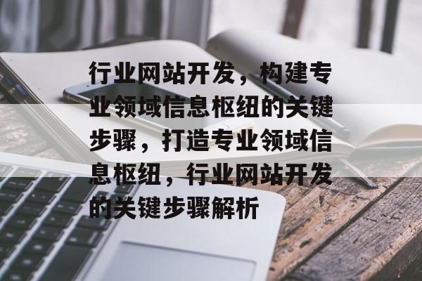 行业网站开发，构建专业领域信息枢纽的关键步骤，打造专业领域信息枢纽，行业网站开发的关键步骤解析