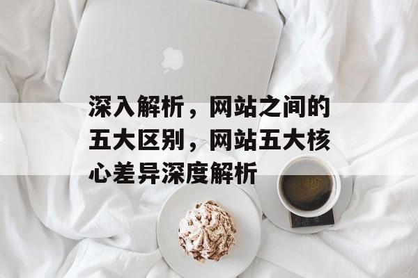 深入解析，网站之间的五大区别，网站五大核心差异深度解析