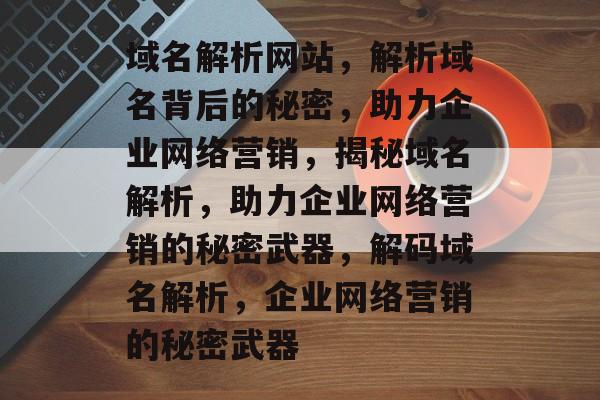 域名解析网站，解析域名背后的秘密，助力企业网络营销，揭秘域名解析，助力企业网络营销的秘密武器，解码域名解析，企业网络营销的秘密武器
