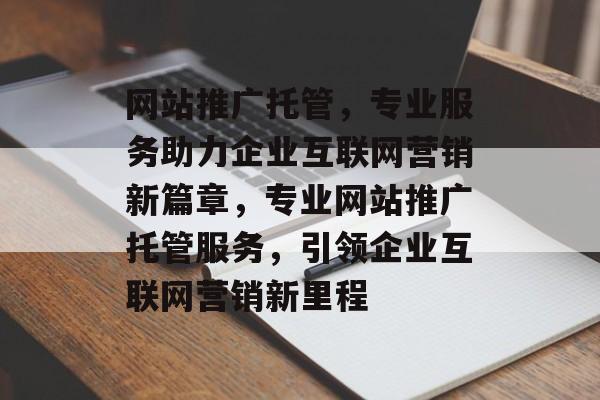 网站推广托管，专业服务助力企业互联网营销新篇章，专业网站推广托管服务，引领企业互联网营销新里程