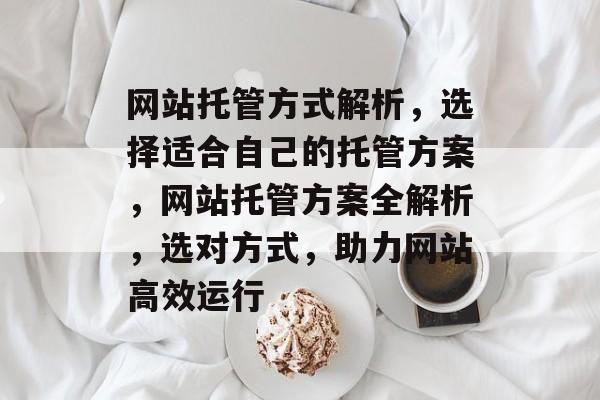 网站托管方式解析，选择适合自己的托管方案，网站托管方案全解析，选对方式，助力网站高效运行