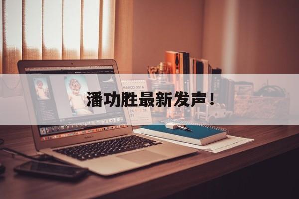 潘功胜最新发声！