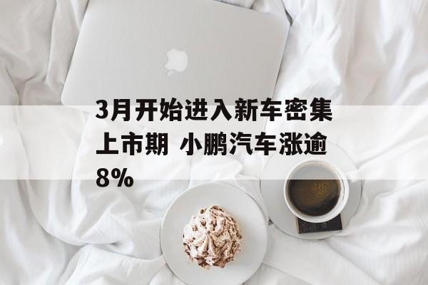 3月开始进入新车密集上市期 小鹏汽车涨逾8%