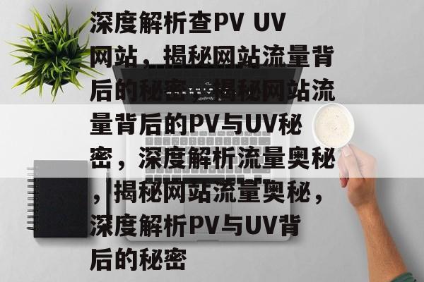 深度解析查PV UV网站，揭秘网站流量背后的秘密，揭秘网站流量背后的PV与UV秘密，深度解析流量奥秘，揭秘网站流量奥秘，深度解析PV与UV背后的秘密