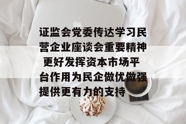 证监会党委传达学习民营企业座谈会重要精神 更好发挥资本市场平台作用为民企做优做强提供更有力的支持