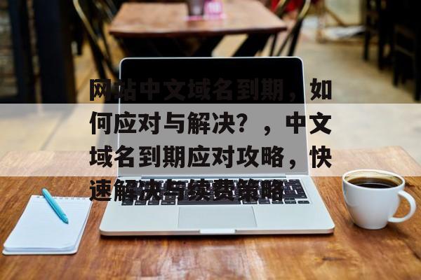 网站中文域名到期，如何应对与解决？，中文域名到期应对攻略，快速解决与续费策略