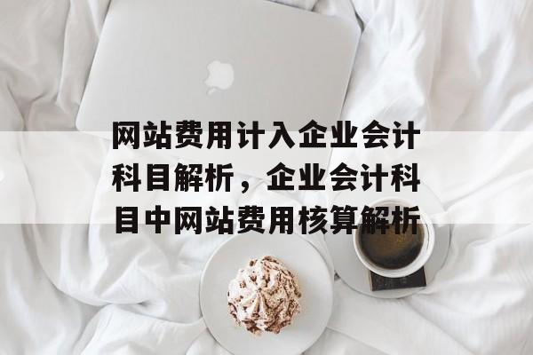 网站费用计入企业会计科目解析，企业会计科目中网站费用核算解析