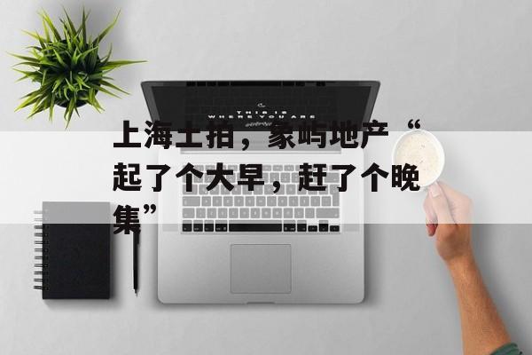 上海土拍，象屿地产“起了个大早，赶了个晚集”