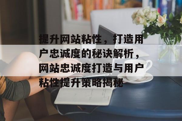 提升网站粘性，打造用户忠诚度的秘诀解析，网站忠诚度打造与用户粘性提升策略揭秘