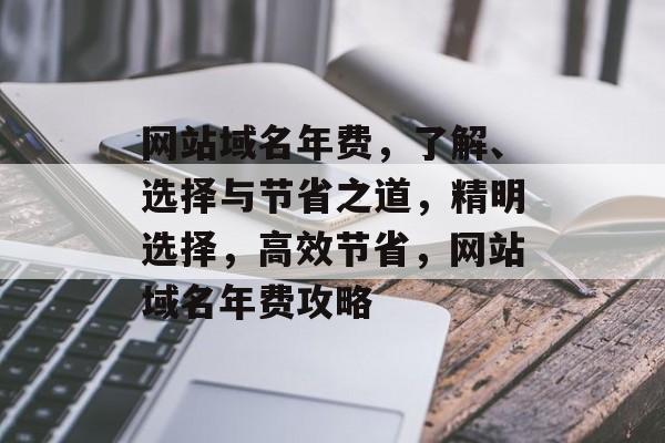 网站域名年费，了解、选择与节省之道，精明选择，高效节省，网站域名年费攻略