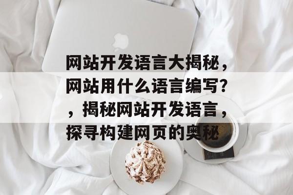 网站开发语言大揭秘，网站用什么语言编写？，揭秘网站开发语言，探寻构建网页的奥秘