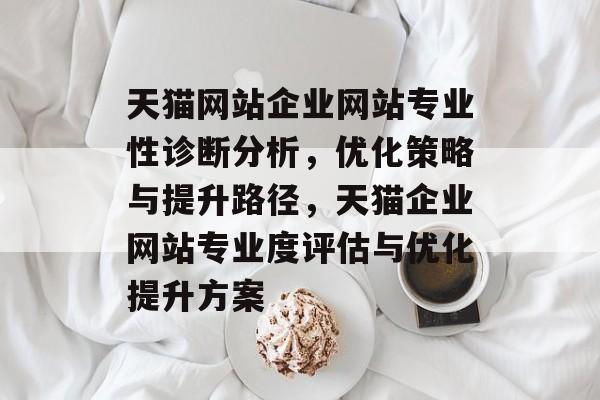 天猫网站企业网站专业性诊断分析，优化策略与提升路径，天猫企业网站专业度评估与优化提升方案