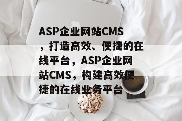ASP企业网站CMS，打造高效、便捷的在线平台，ASP企业网站CMS，构建高效便捷的在线业务平台