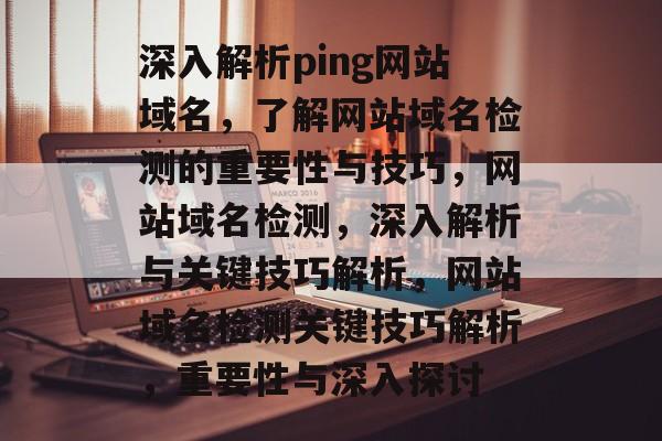 深入解析ping网站域名，了解网站域名检测的重要性与技巧，网站域名检测，深入解析与关键技巧解析，网站域名检测关键技巧解析，重要性与深入探讨