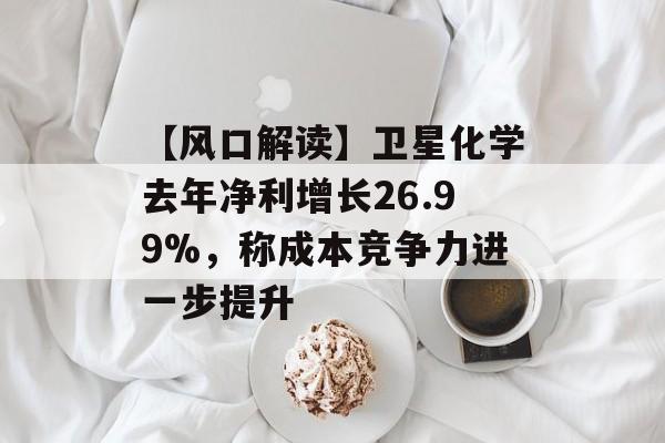 【风口解读】卫星化学去年净利增长26.99%，称成本竞争力进一步提升