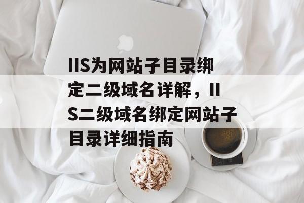 IIS为网站子目录绑定二级域名详解，IIS二级域名绑定网站子目录详细指南