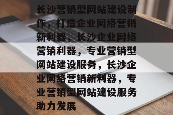 长沙营销型网站建设制作，打造企业网络营销新利器，长沙企业网络营销利器，专业营销型网站建设服务，长沙企业网络营销新利器，专业营销型网站建设服务助力发展