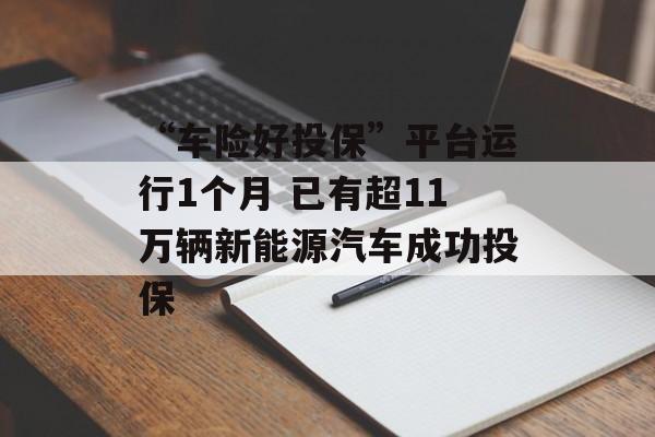 “车险好投保”平台运行1个月 已有超11万辆新能源汽车成功投保