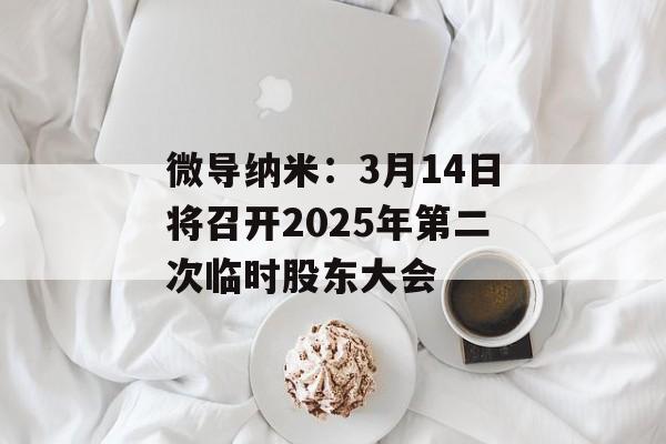 微导纳米：3月14日将召开2025年第二次临时股东大会