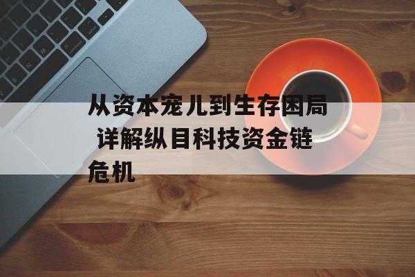 从资本宠儿到生存困局 详解纵目科技资金链危机